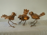 3-vogeltjes_0